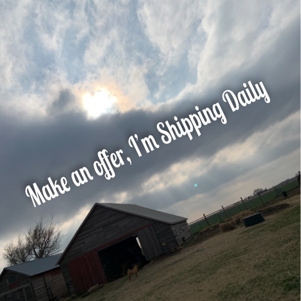 Shipping Daily!😃💛🌈